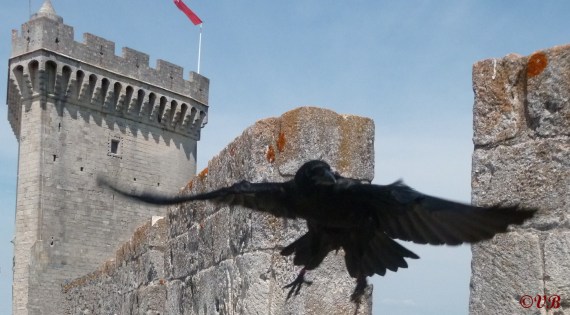 chateau_beaucairecop