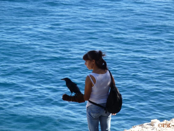 cassis (11)